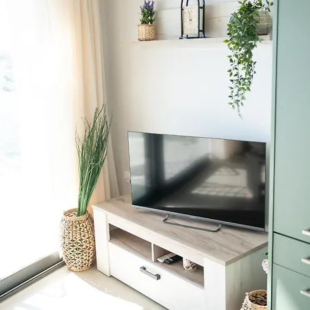Rose & Dennis Luxury Appartement *